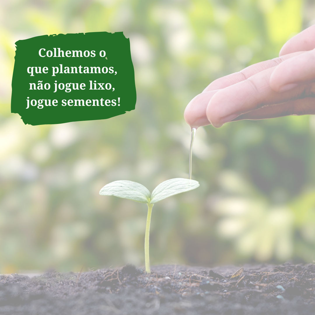 Certicon Engenharia e Consultoria